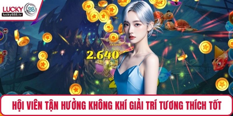 Hội viên tận hưởng không khí giải trí tương thích tốt