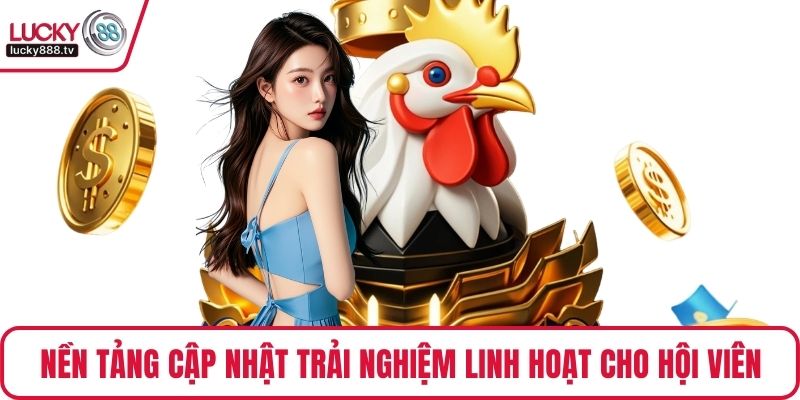 Nền tảng cập nhật trải nghiệm linh hoạt cho hội viên